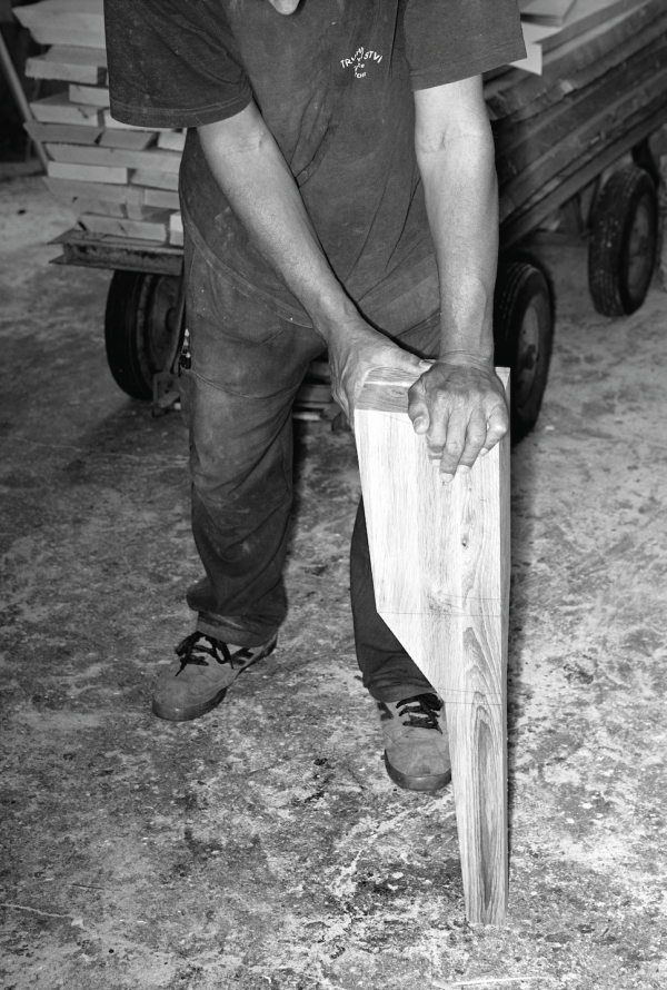 fotografie pro knihu Strom (Křehký)