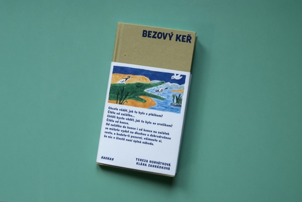 ilustrace knihy Bezový keř (Tereza Horváthová, Baobab)