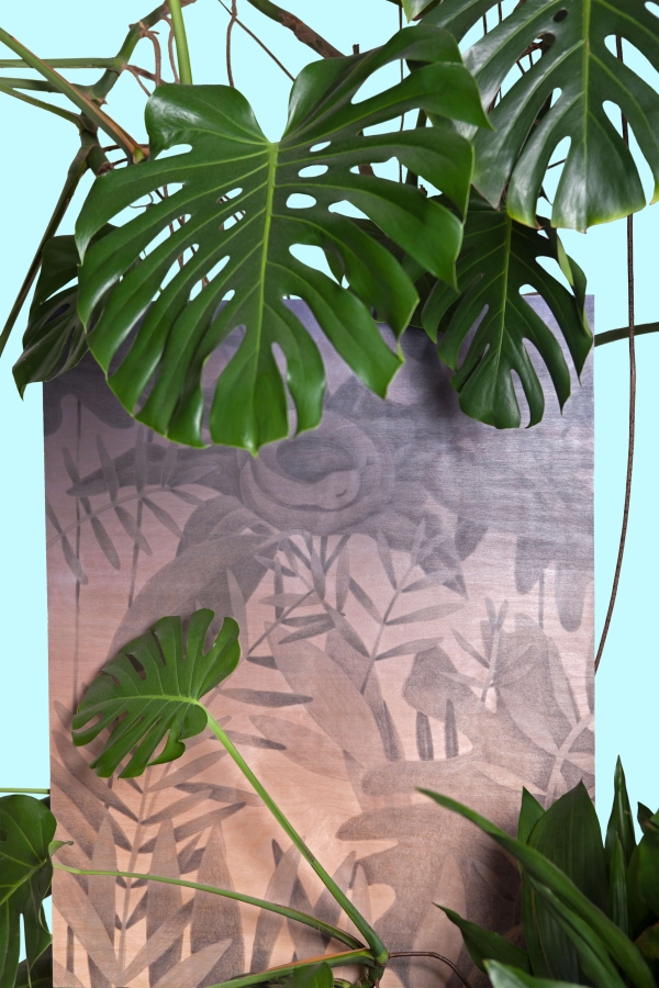 nové prvky Oáza Collection