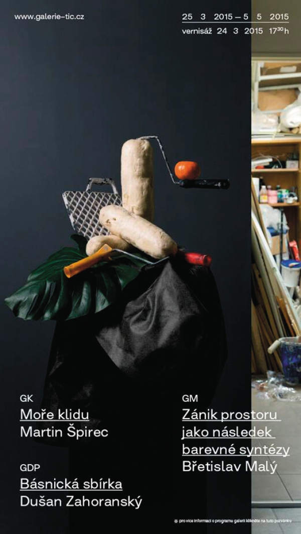 fotografie pro vizuály pro Galerii TIC