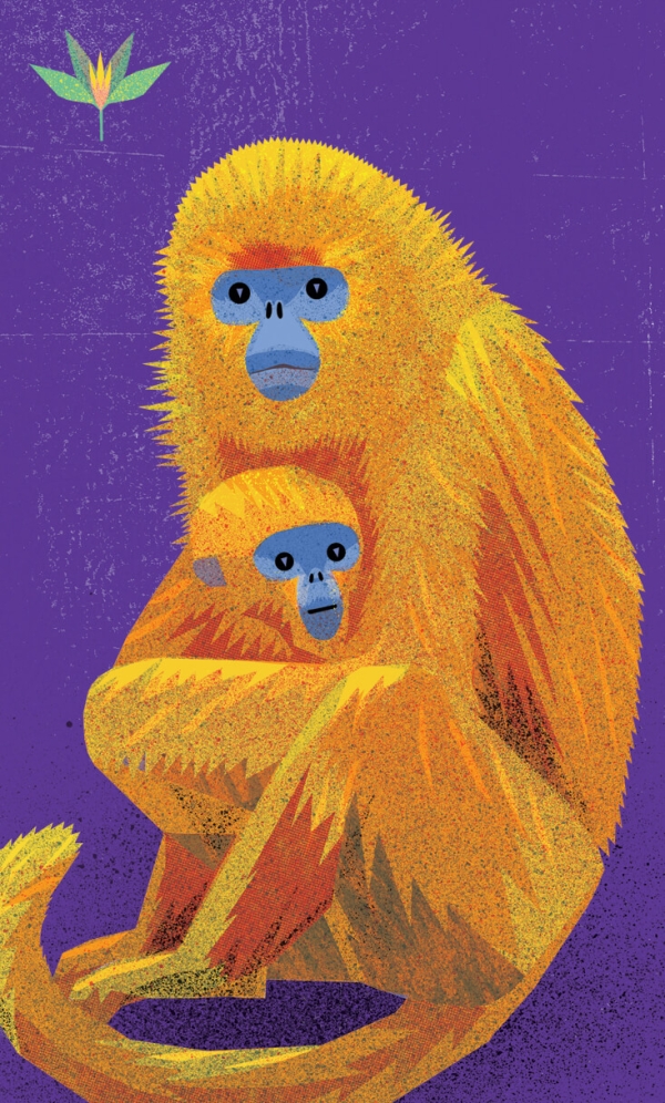 ilustrace pro karetní hru OPI - Černý Petr
