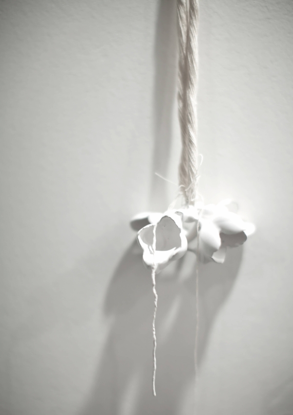 kolekce Lost & Found