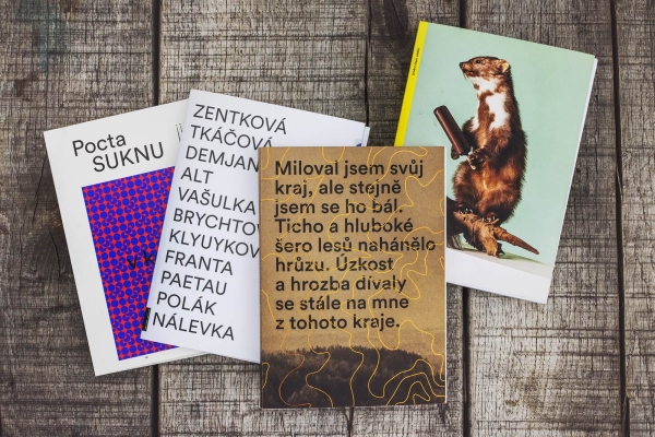 vizuální styl výstav a katalogů pro zónu pro umění 8smička