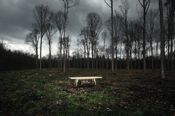 stůl Strom (Křehký)